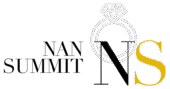 nansummitllc.com